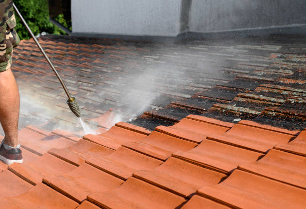 Best Pressure Washing Estimates  in Davenport, IA