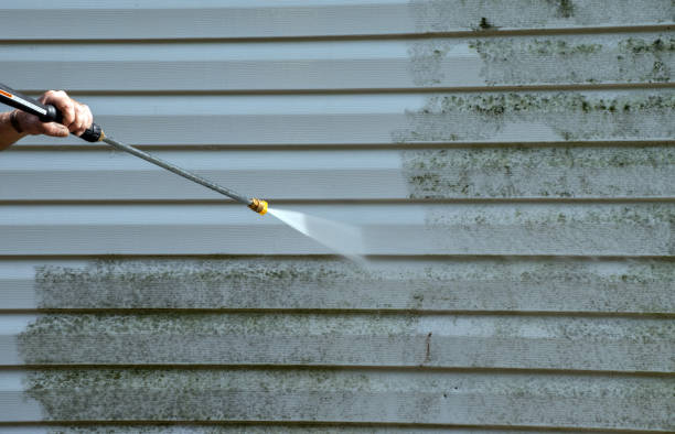 Best Best Pressure Washing Companies  in Davenport, IA