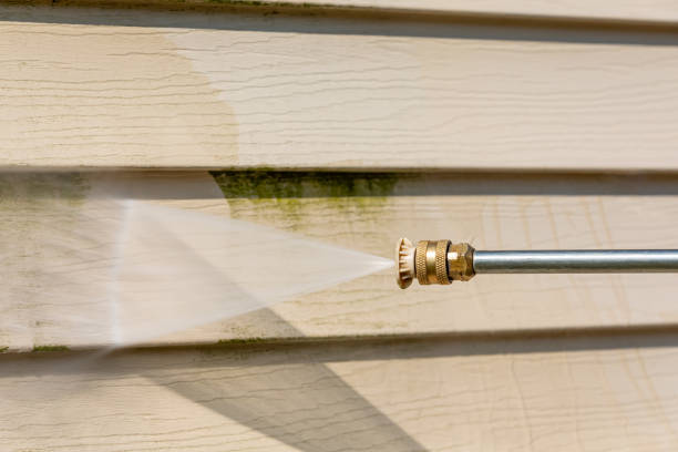 Best Exterior Home Cleaning  in Davenport, IA